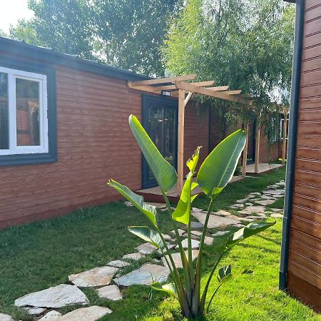 فندق Seaside Bungalow Town أنطاليا المظهر الخارجي الصورة